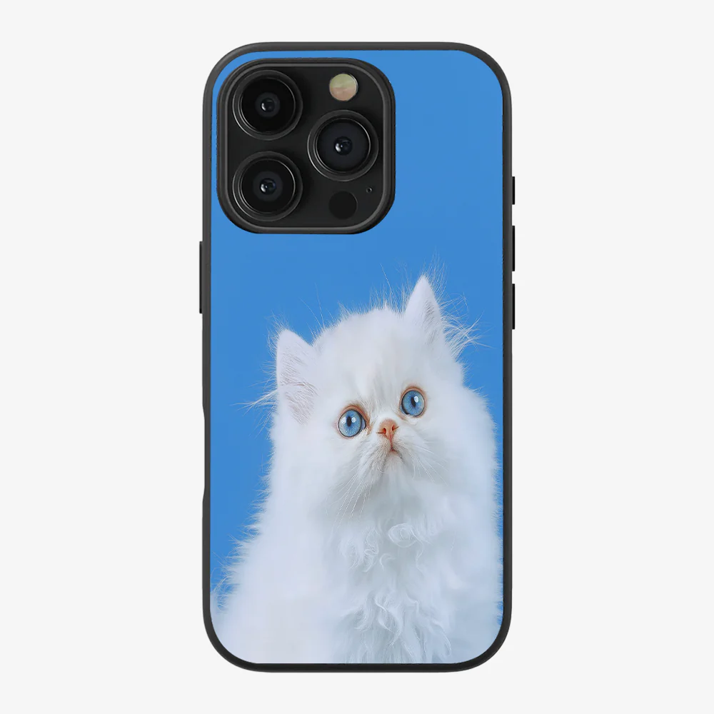 Nine Lives Phone Case